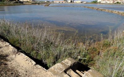 ANSE presenta el proyecto de recuperación de las salinas de Marchamalo