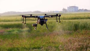 Drones para tratamientos en los arrozales